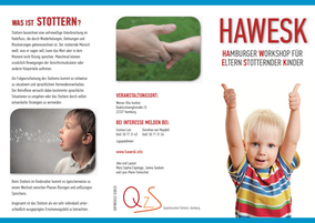 hawesk-flyer